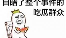 你爆料我吃瓜小说,那些你不知道的幕后故事与瓜田秘闻
