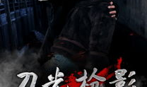 刀光枪影电视剧,烽火岁月的英雄传奇
