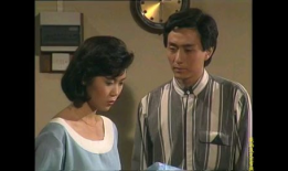 人在旅途电视剧,漂泊人生中的情感与成长