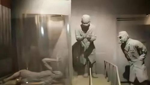 731部队电视剧全集,揭开二战阴影下的罪恶之谜